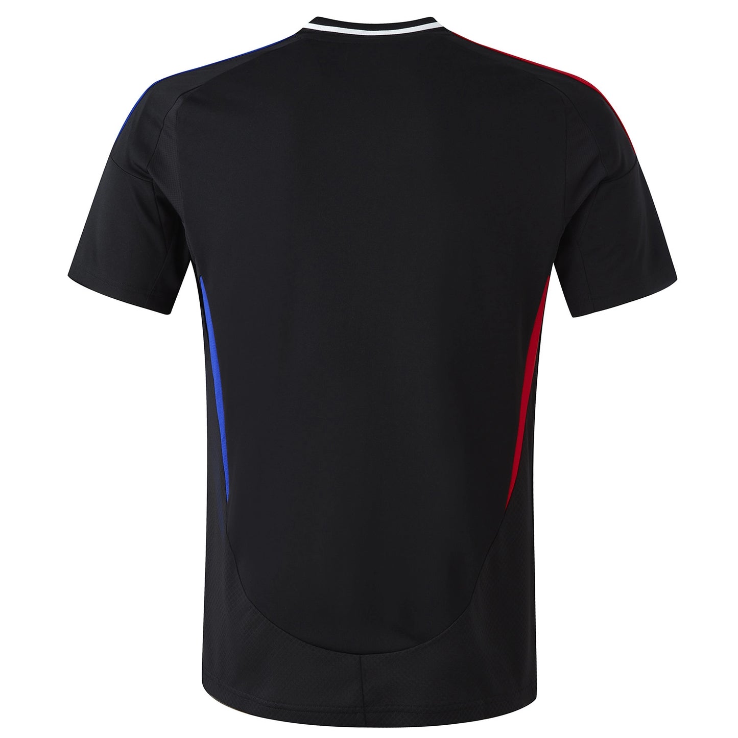 Lione 2024-2025 Home