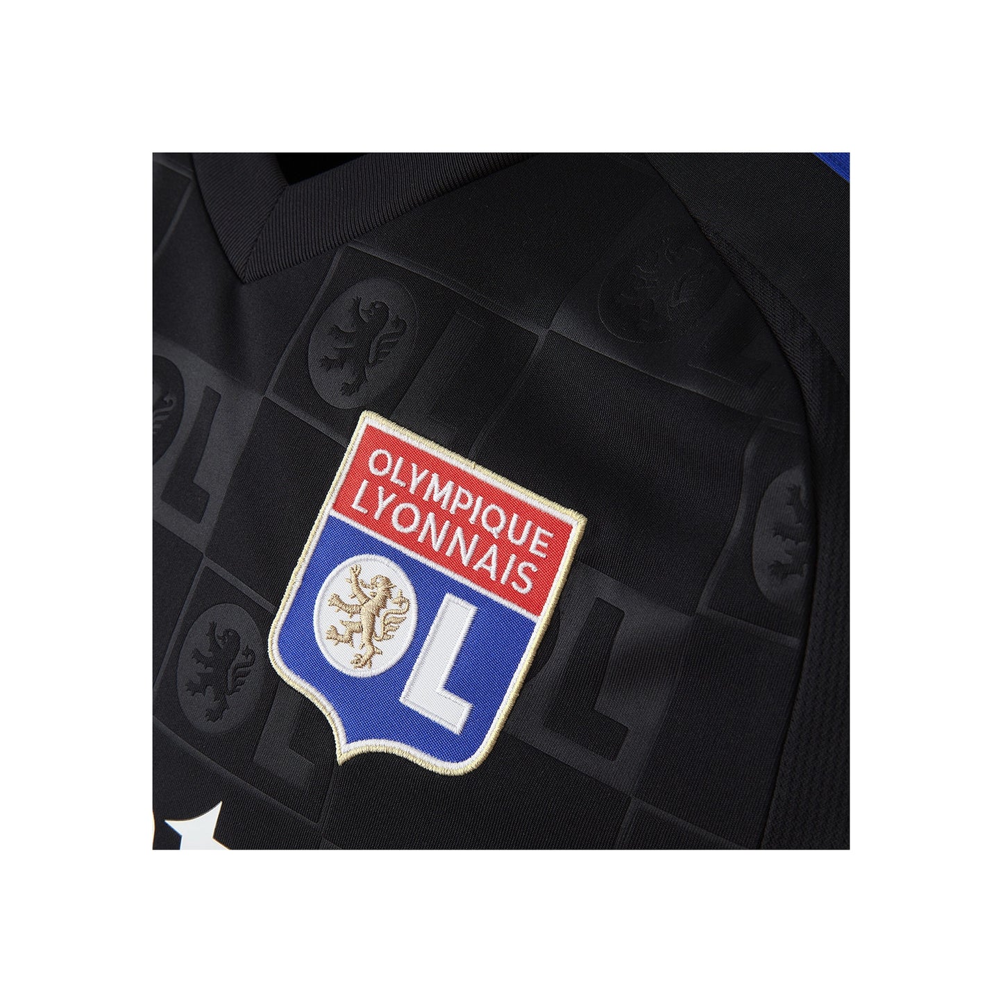 Lione 2024-2025 Home