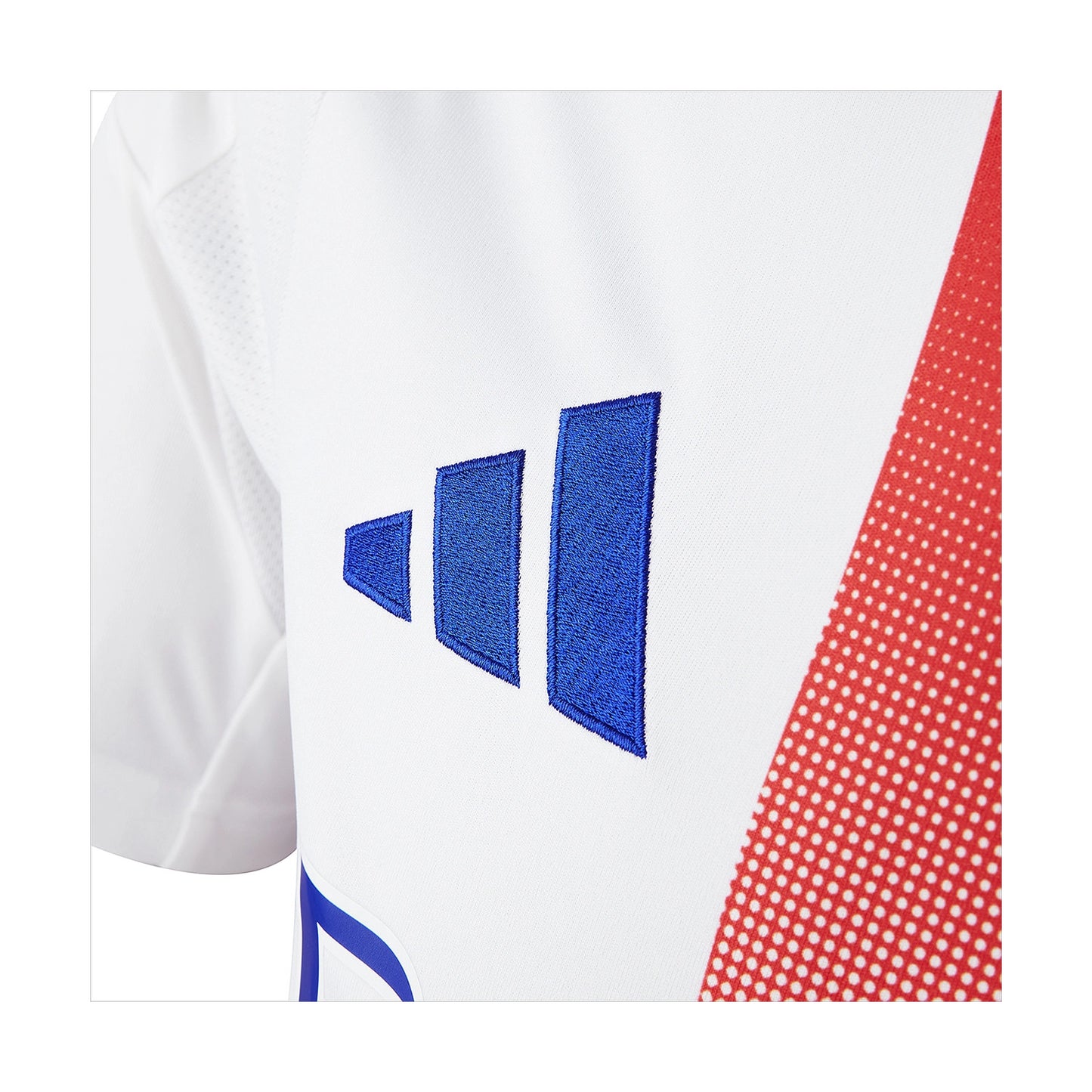 Lione 2024-2025 Home