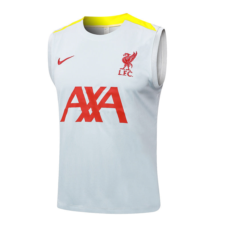 Liverpool Training Kit